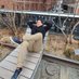 Alvaro Mora (@agmora97) Twitter profile photo Alvaro Mora (@agmora97) Twitter profile photo