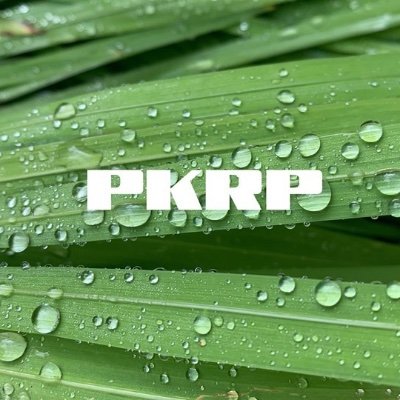 pkrpmusic Profile Picture