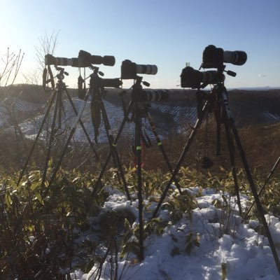 miya28313579's profile picture. ブログやってます。 フォロー等お気軽にどうぞ。