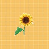 Sunflower Sunflxwer Twitter - sun flower roblox