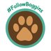 Baggins the Bear (@baggins_bear) Twitter profile photo