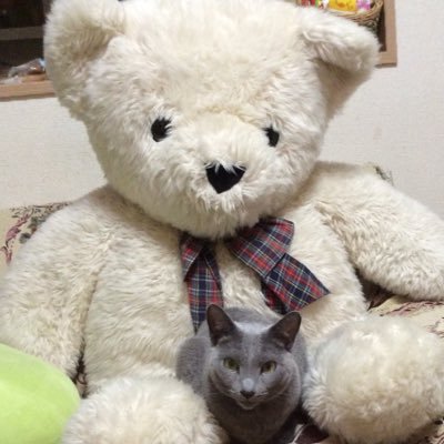 いろんなところでジョー寺として生息。Georgeだったりもする。食と動物をこよなく愛する。犬派?猫派?そんなの決められないわ!無言フォローすいません!仲良くしてくれると喜びます。