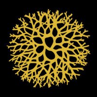Cátedra Inés Amor (@catedrainesamor) 's Twitter Profile Photo Cátedra Inés Amor (@catedrainesamor) 's Twitter Profile Photo