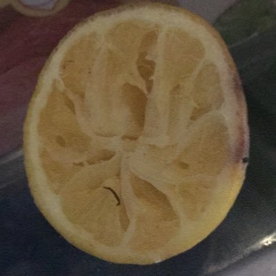 Reflexiones sobre limones acepto sugerencias. buscando a mi medio limón.