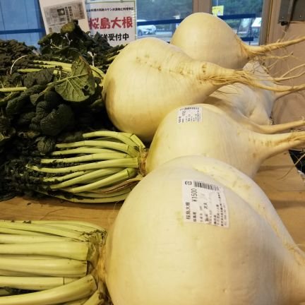 jMLDM5PqYxhAWdv's profile picture. 北九州→尾道→大分→福岡→熊本

趣味　野球観戦　Perfume

文系出身やけど、電験3種受験したい。