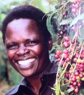 statussacks's profile picture. 