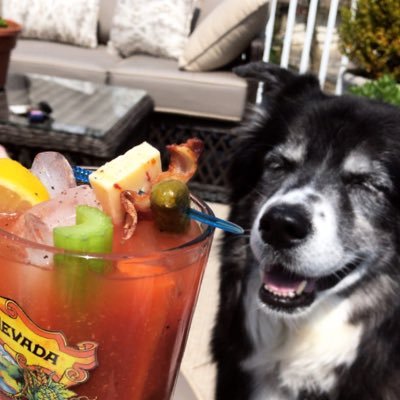 spiceytunar0ll's profile picture. my work is always mysterious and sometimes important