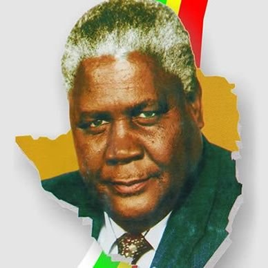 #Zanupfmustfall