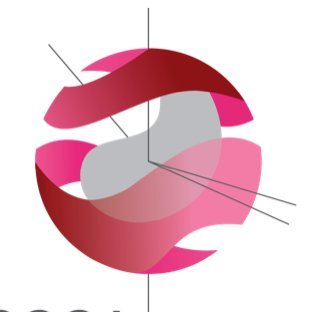 ESCCA is a scientific society founded to ensure the continuation of the activities of the European Working Group on Clinical Cell Analysis (EWGCCA).
