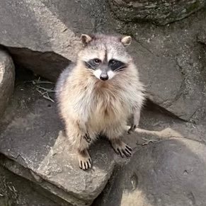 MbDIqxQyfIobit7's profile picture. 大学用アカウント　nims 診療放射線学科でございます