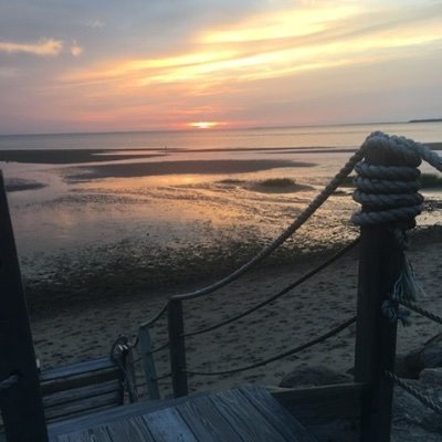 William15481's profile picture. 