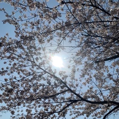 気楽に生きよう。それでこそ今が幸せだ。