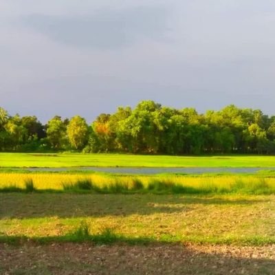 रागों मैं दौड़ता लहू सारा ईमान वाला है कुछ कुत्ते समझते है यह मुस्लिम पाकिस्तान वाला है