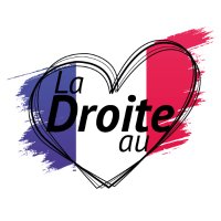 La Droite au cœur ن(@DroiteDeMarcq) 's Twitter Profile Photo
