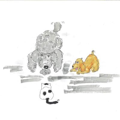 スコットの絵本 / SCOTT the picture bookさんのプロフィール画像