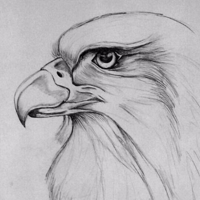 SibasishDas14's profile picture. Artist