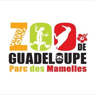 Ouvert en 1998, le Zoo de Guadeloupe au Parc des Mamelles est une véritable arche de Noé dans un lieu hors du commun.