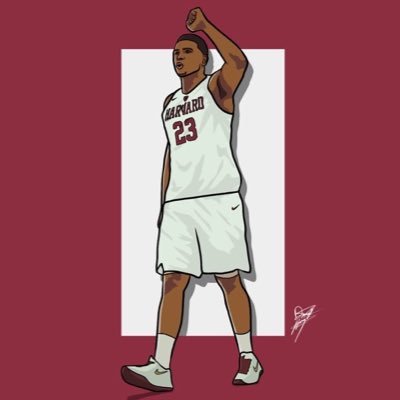 Former Harvard Basketball Team Captain🏀Dominican National Team🇩🇴 Harvard Grad🎓 ‘19