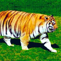 7kada (@_____hiikomalu) 's Twitter Profile