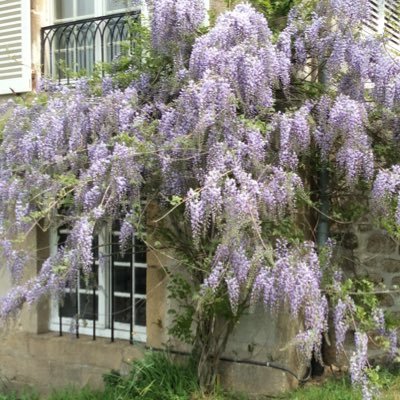 Luxury Chambres D'hotes in the Limousin, France. Providing excellent customer services and quality accommodation. Chandeliers in the countryside.