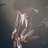 kntys_bass1120