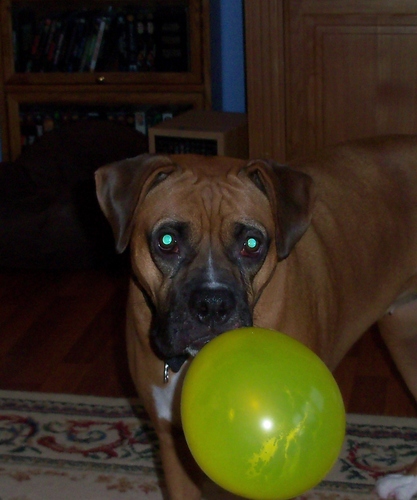 richard2256's profile picture. 