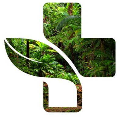Initiative citoyenne pour un fonds documentaire des plantes médicinales africaines