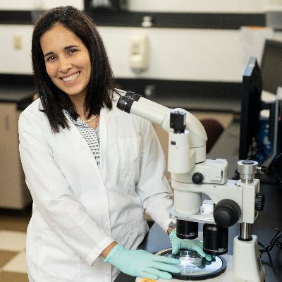 Assistant professor at the North Florida Research and Education Center. University of Florida.