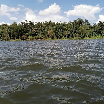 ahebwa_benjamin's profile picture. I just wanna see the sunshine tomorrow!