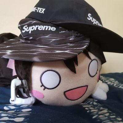 26/
Consumidor profesional de mercancia idol /
En la pasta desde 2014