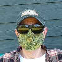 Will Remembers (@fireatwillmo) 's Twitter Profile