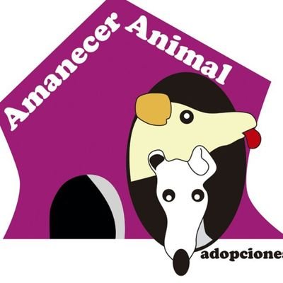 Protectora de animales.

Siguenos en redes: 
Facebook: @APAamaneceranimal
Instagram: amanecer_animal

Visita tienda solidaria:@DendiCreaciones