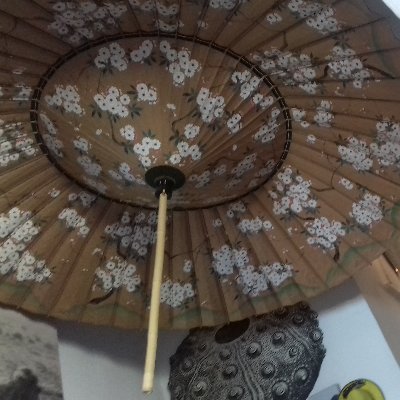 bragelonne1's profile picture. 