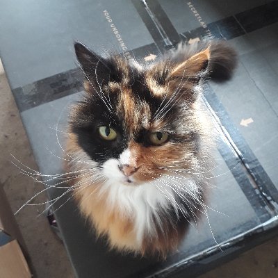 Structural Biologist | cats not dogs
Dr/PhD
Bella's human
Type 1 Diabetic
Xray crystallography @TheCrick
Trying the #fediverse @purkiss_andy@mastodonapp.uk