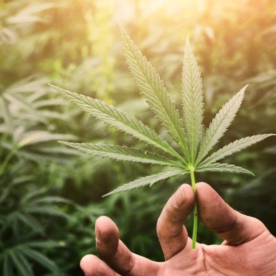 MJTomorrow's profile picture. The BEST marijuana podcast. Everyone knows what happened in marijuana today... You need to know what's happening in Marijuana Tomorrow!