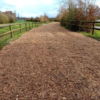 GeorgetSylvain's profile picture. 