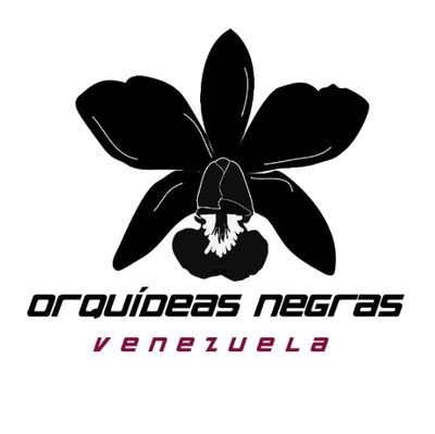 International Venezuelan Rugby team focused in promoting this sport and develop Rugby projects!