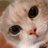 いつもねこ野郎のアイコン
