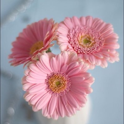 takwaalmosaaly3's profile picture. دكتوراه في الدراسات القرآنية والعربية بلغوا عن دينكم ولو آية 💦 زكاة العلم نشره وتبليغه 👌