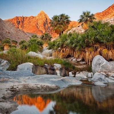 Desert & Oasis est une Agence de voyage située à agadir.
Venez Découvrez nos offres avec la meilleure qualité et meilleur prix !