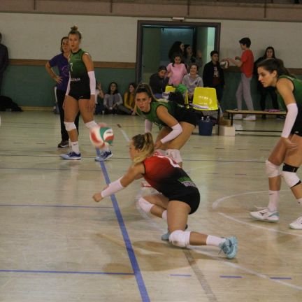 ZiortzaTeje's profile picture. 