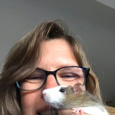 Elementary Teacher in her 35th year. Currently in 6th grade. Rats for pets. Rocks for decoration. Dinosaurs for fun. Husband for my life partner. she/her