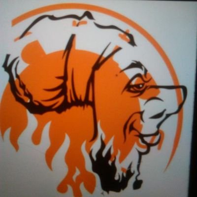 GRAFFITI /CANVAS ARTIST/WALL BRANDING/T SHIRT PRINTING/INTERIOR n EXTERIOR DESIGNER/PRODUCTION DESIGNER/BEADWORKS n ORNAMENTS.... (YOUTH LEADER N MENTOR)..