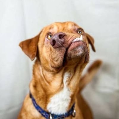Martin120296's profile picture. Noticias Noticiero Negocios Tecnología Ciencia Política Economía Gobierno Deportes Elecciones NFL Juegos Olímpicos Cine y Teatro Museos Libros