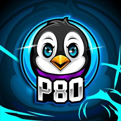 ServerPush's profile picture. 🔥P80🔥Offizieller Account vom eSports Team P80 🔥 Est. 21.04 🔥 Wird geführt von @FlyHunterHD2 🔥 Discord Link: