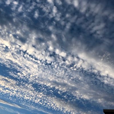 patto_ma's profile picture. 保育士、13年目。  保育士の処遇をもっと良くしたい！自分もスキルアップしたい！みんなで変えていきましょう！今後の未来の為に、保育から日本を！  今年の目標は子どもとあそばない保育士！