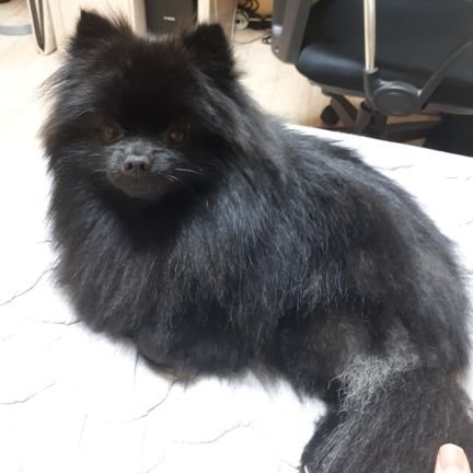 완득さんのプロフィール画像