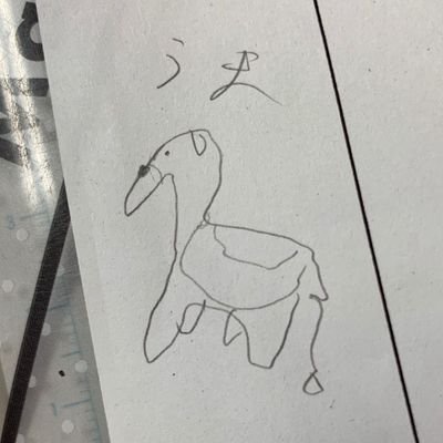 Gypsophilaさんのプロフィール画像