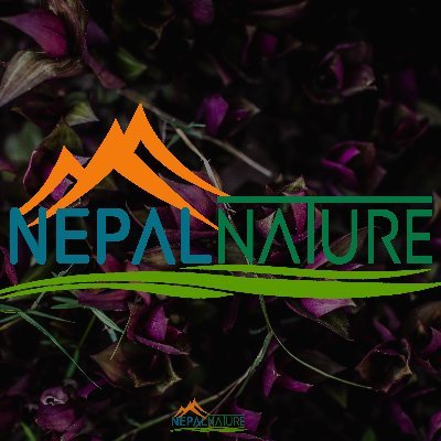 Nepal in Pictures 🗻
Tag @nepal.nature to share your experience 🙏
Explore Nepal