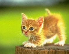 sanuy2k07's profile picture. life is beautiful